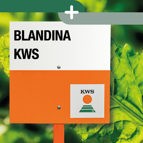 BLANDINA KWS